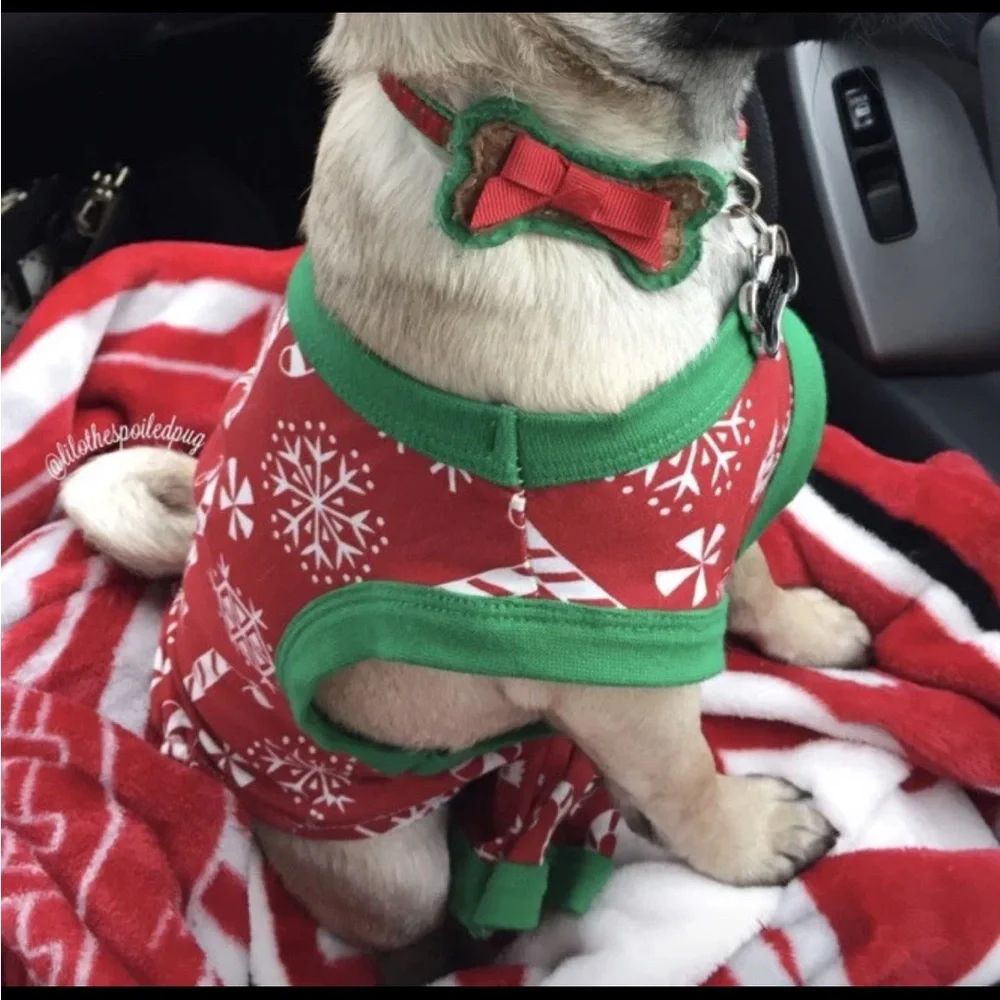 Small dog Christmas pajamas